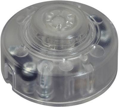 interBär 8020-008.01 Schnurtaster Weiß 1 x Aus/(Ein) 2 A 1 St.