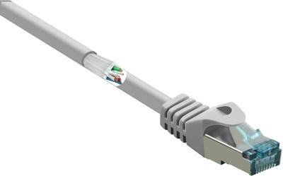 Renkforce RF-5047494 RJ45 Netzwerkkabel, Patchkabel CAT 6a S/FTP 0.50 m Grau mit Rastnasenschutz, Flammwidrig 1 St.