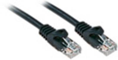 LINDY 48190 RJ45 Netzwerkkabel, Patchkabel CAT 6 U/UTP 0.30 m Schwarz 1 St.