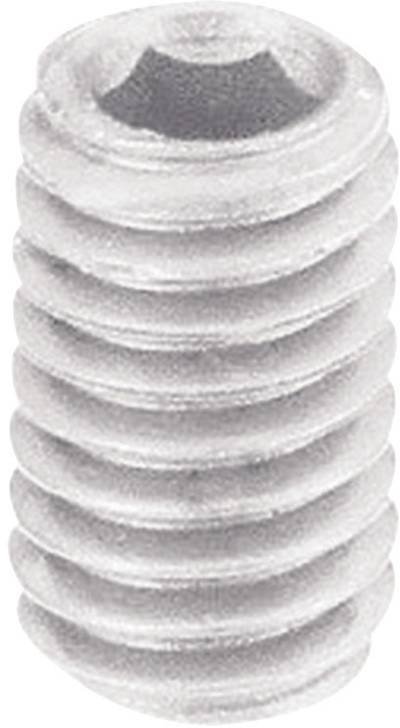 TOOLCRAFT 830369 Gewindestift M5 6 mm Polyamid 10 St.
