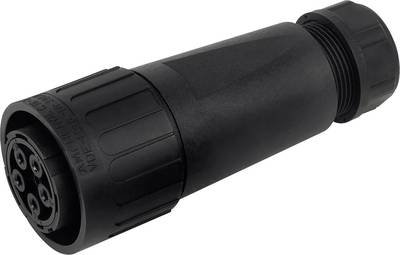 Hochstromsteckverbinder - IP65 C016 20E004 800 2 Schwarz Amphenol Inhalt: 1 St.