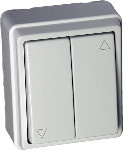 Kaiser Nienhaus 321340 Wandtaster Aufputz