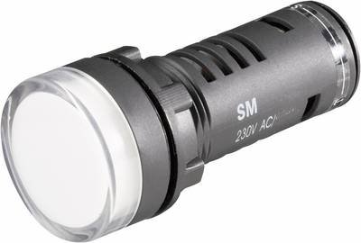 LED Pilot Light 22 mm