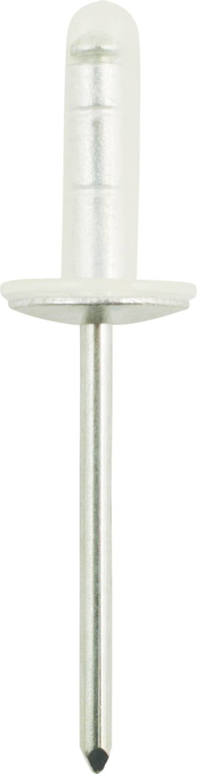 KS Tools 420.5784 Dichtniete mit 12,1mm Flansch für Toyota,50er Pack