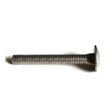 RVS slotbout M5x16