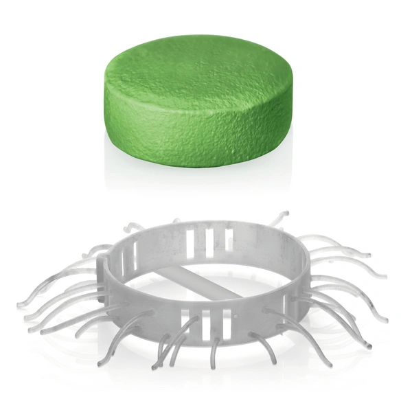 Abflussreiniger »Abfluss-Fee«, 50 g, 8-tlg, grün, Apfel-Zitrone