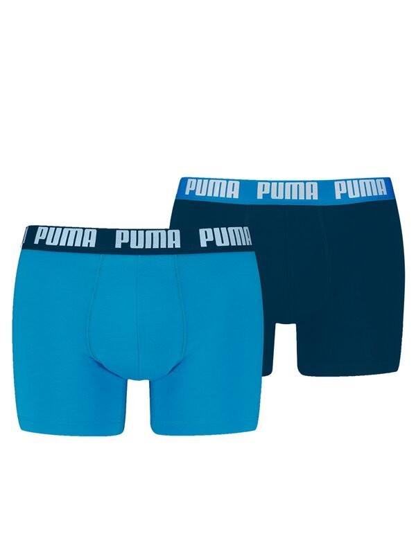 Basic Boxer