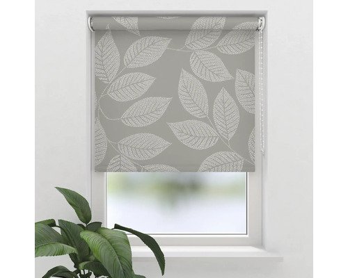 SOLUNA Tageslichtrollo D10 Blatt dunkelbeige 100x190 cm inkl. Klemmträger