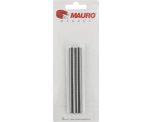 Scheibenmagnete Ø 10 mm silber 50 Stück
