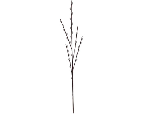 Kunstpflanze Weidenkätzchen H 80 cm