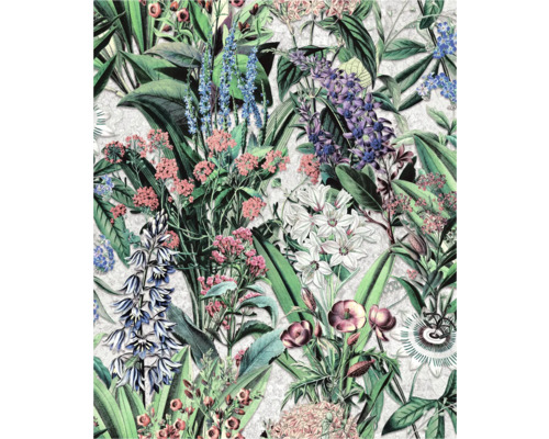 Vliestapete 47477 Flora Blumen grau grün