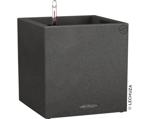 Pflanztopf Lechuza Canto Color Kunststoff 30 x 30 x 30 cm schwarz inkl. Erdbewässerungsystem, Pflanzeinsatz und Wasserstandsanzeiger