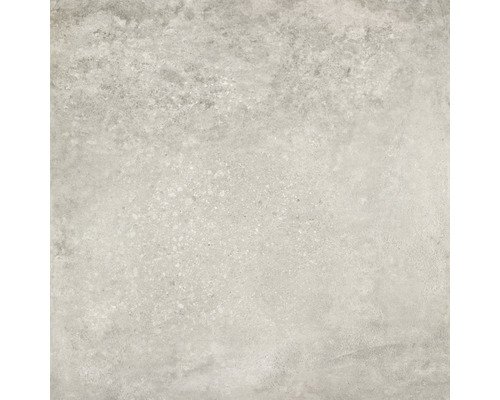Feinsteinzeug Wand- und Bodenfliese Arona grau BxLxS 59,5 cm x 59,5 cm x 0.95 cm