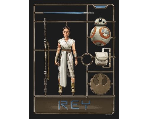Poster Star Wars Toy Rey 30x40 cm