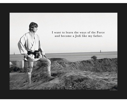 Poster Star Wars Classic Luke Quote 40x30 cm
