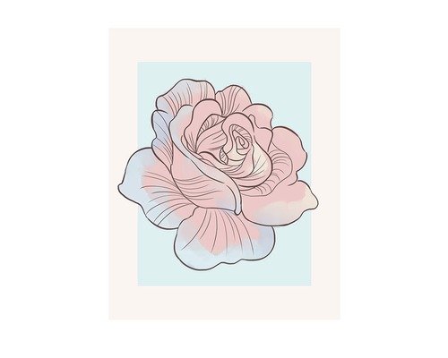 Poster Cinderella Rose 30x40 cm