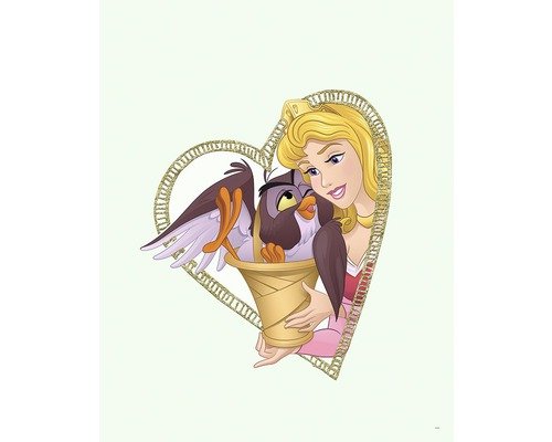 Poster Aurora & Owl 30x40 cm