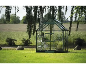 Gewächshaus Halls Icon 6 2,5 m² Sicherheitsglas 3 mm 192,5 x 130,3 cm grün