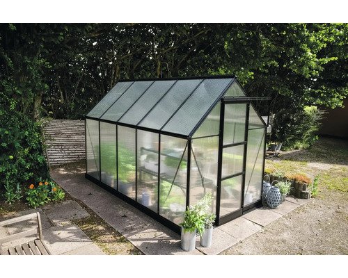 Gewächshaus Halls Icon 6 6,1 m² Polycarbonat 4 mm 192,5 x 316,9 cm schwarz