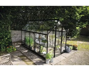 Gewächshaus Halls Icon 6 6,1 m² Blankglas 3 mm 192,5 x 316,9 cm schwarz