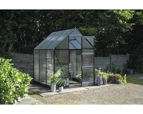 Gewächshaus Halls Icon 6 3,7 m² Polycarbonat 4 mm 192,5 x 192,5 cm grün