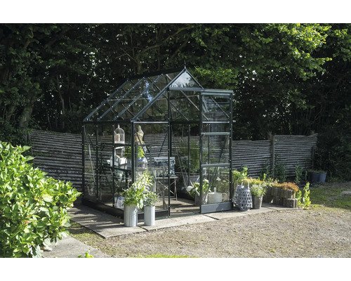 Gewächshaus Halls Icon 6 3,7 m² Blankglas 3 mm 192,5 x 192,5 cm grün