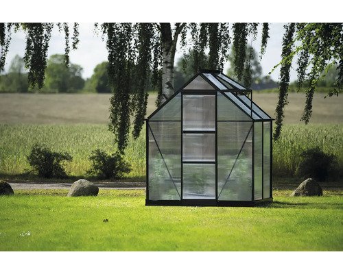 Gewächshaus Halls Icon 6 2,5 m² Polycarbonat 4 mm 192,5 x 130,3 cm schwarz