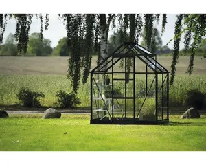 Gewächshaus Halls Icon 2,5 m² Blankglas 3 mm 192,5 x 130,3 cm schwarz