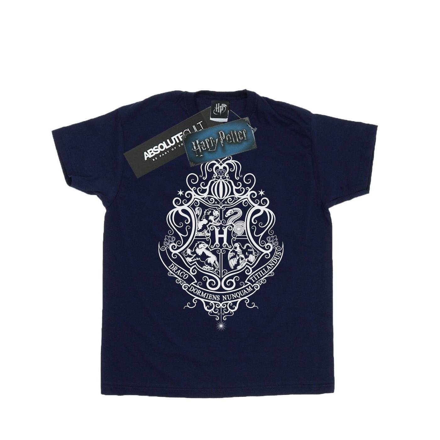 Hogwarts Draco Dormiens TShirt