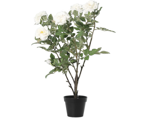 Kunstpflanze Rosen im Topf H 78 cm weiss