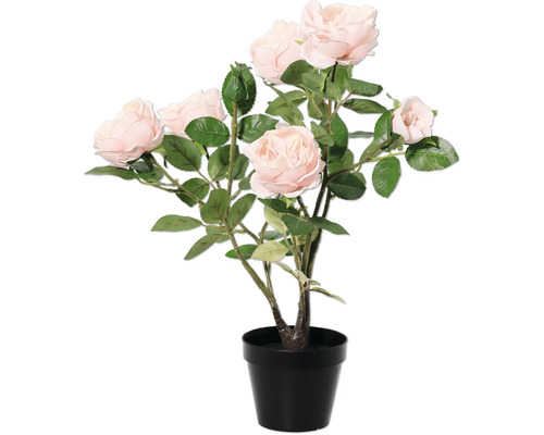 Kunstpflanze Lafiora Kunststoff H 48 cm rosa