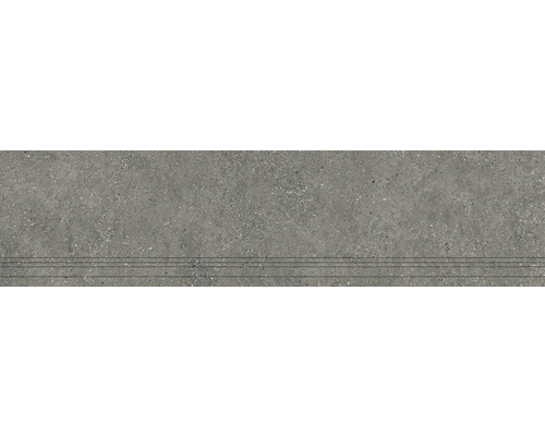Feinsteinzeug Treppenstufe Alpen grau matt BxLxS 29,8 cm x 120 cm x 0,9 cm