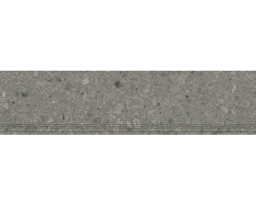 Feinsteinzeug Treppenstufe Donau grau BxLxS 29,8 cm x 120 cm x 0,9 cm