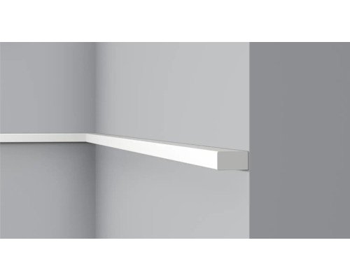 Wand- und Abschlussleiste C22, 2 x 2 m, 18 x 10 mm