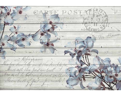 Fototapete Vlies Carte Postale blau grau 250 x 104 cm