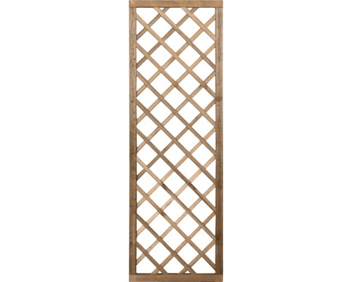 Rankgitter Molina 180x60cm kdi braun