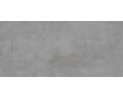 Feinsteinzeug Wand- und Bodenfliese Urbex grey 120 x 280 x 0.6 cm