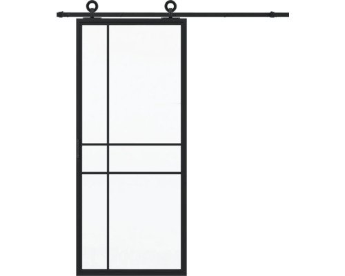 Pertura Schiebetür Komplett-Set Jarn 06 Satin 1000x2150 mm inkl. Laufschiene mit Rad,Griff-Set