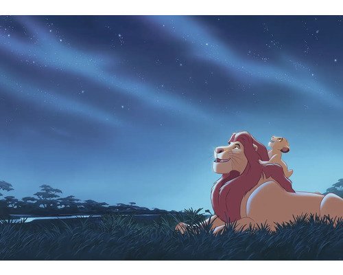Fototapete Vlies DX7-197 Disney Lion King Stargazing 7-tlg. 250 x 350 cm