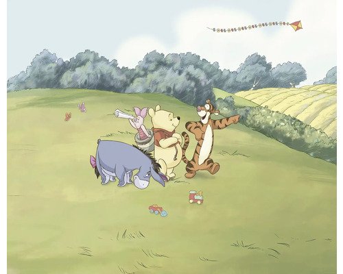 Fototapete Vlies DX6-244 Disney Winnie Pooh Adventure 6-tlg. 250 x 300 cm