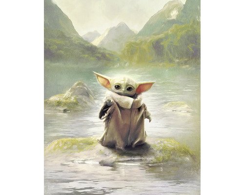 Fototapete Vlies DX4-211 Star Wars Mandalorian Grogu 4-tlg. 250 x 200 cm
