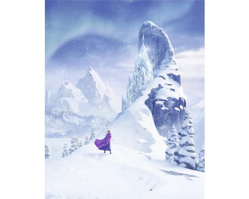 Fototapete Vlies DX4-206 Disney Frozen Ice Castle 4-tlg. 250 x 200 cm
