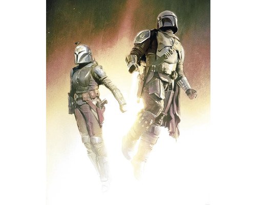 Fototapete Vlies DX4-177 Star Wars Mandalorian Flight 4-tlg. 250 x 200 cm