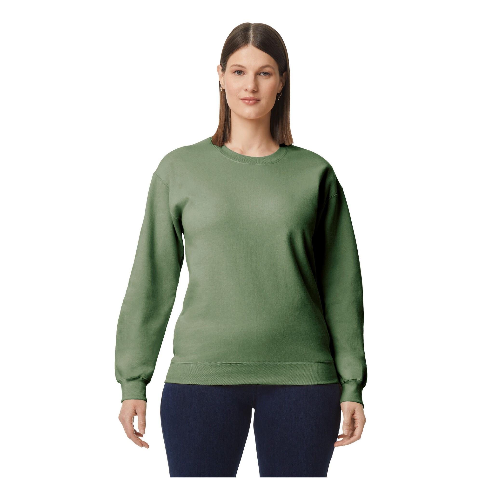 Softstyle Sweatshirt
