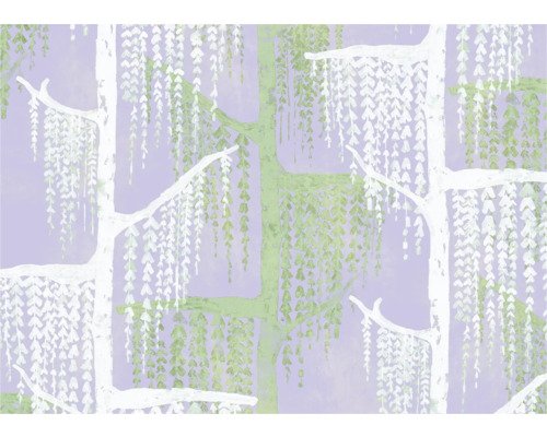 Fototapete Vlies FLX7-026 Crazy Willow 7-tlg. 250 x 350 cm