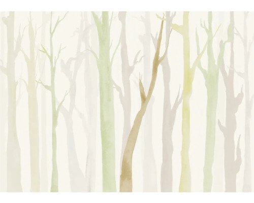 Fototapete Vlies FLX7-008 Shadow Woods 7-tlg. 250 x 350 cm