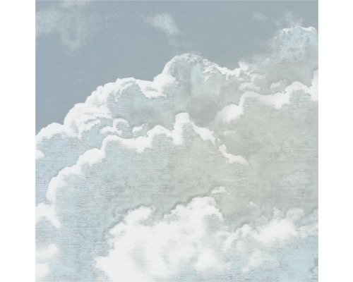 Fototapete Vlies FLX5-050 Vintage Clouds 5-tlg. 250 x 250 cm
