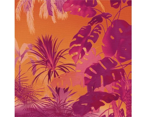 Fototapete Vlies FLX5-049 Funky Jungle 5-tlg. 250 x 250 cm