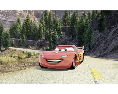 Fototapete Vlies DX8-248 Disney and Pixar Cars Every 8-tlg. 250 x 400 cm