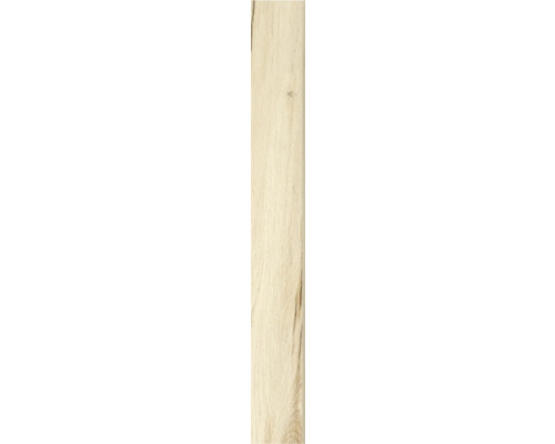 MIRAVA ARENDAL Sockelfliese beech 7.3x60 cm